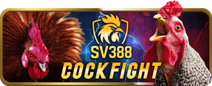 Hỗ trợ khách hàng da83 24/7